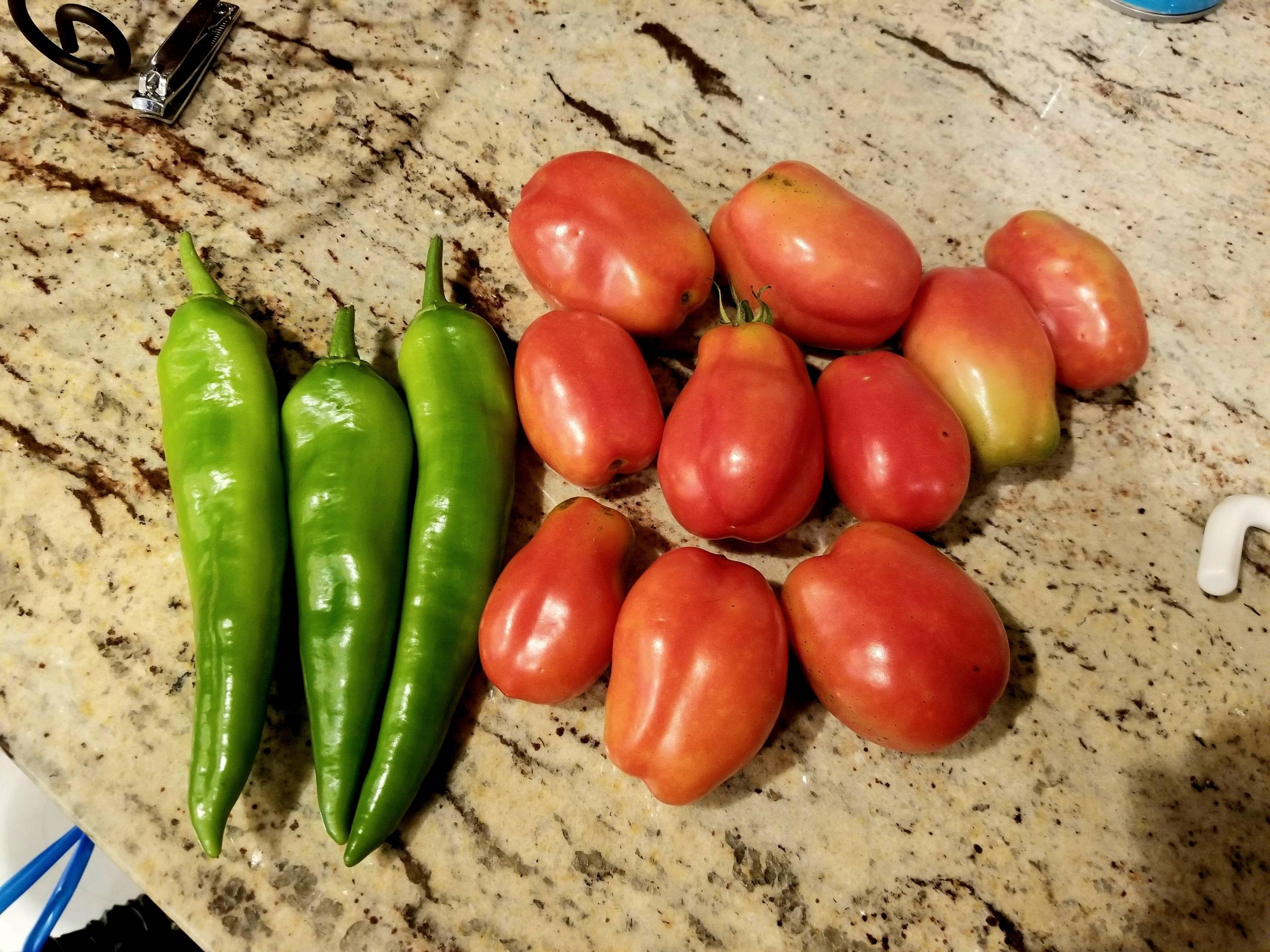 Plucked some anaheim peppers and tomatoes today ) Dining and Cooking