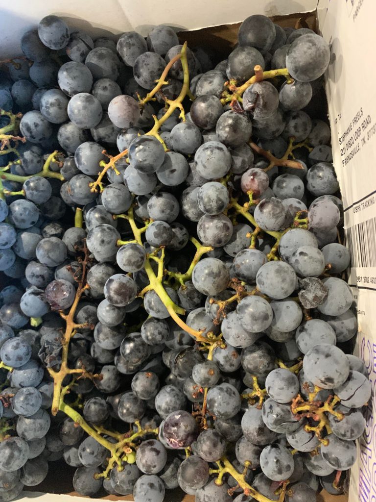 What else can I make with 8 lbs of grapes??