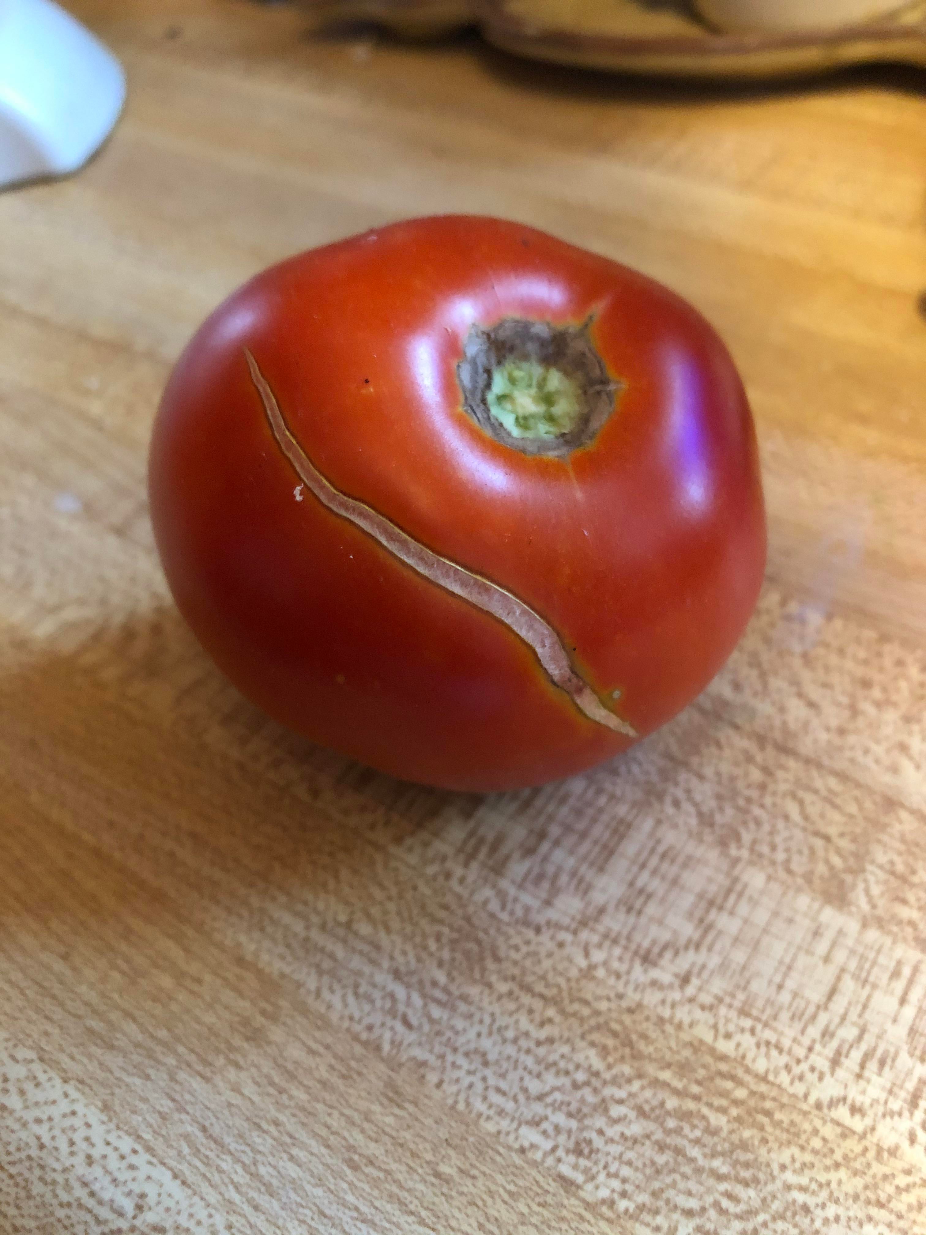 What is this and why is it happening to majority of our tomatoes? They