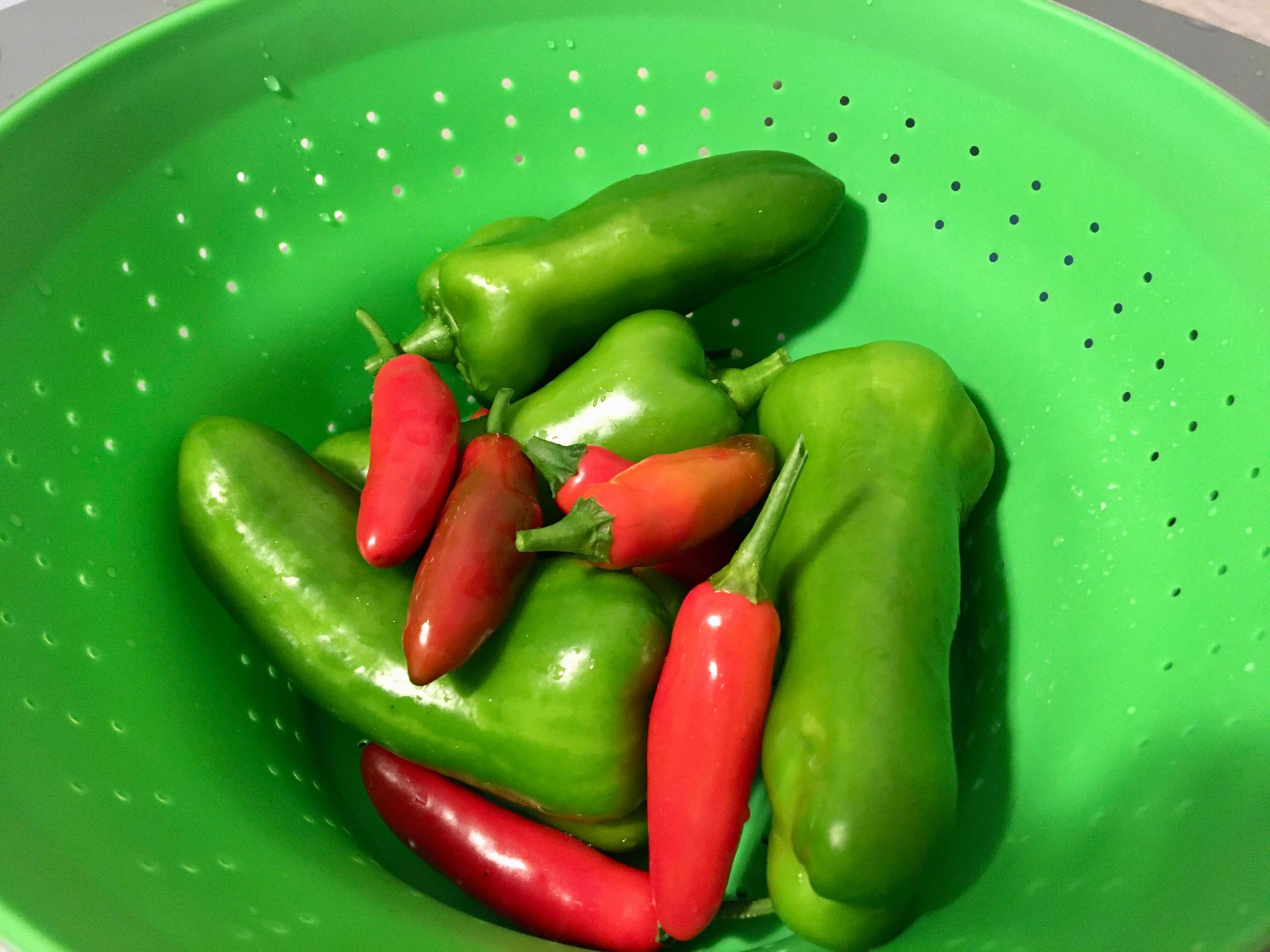First pepper harvest! Zone 6b Dining and Cooking