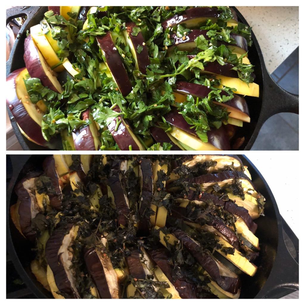 Eggplant, zucchini, squash Dining and Cooking