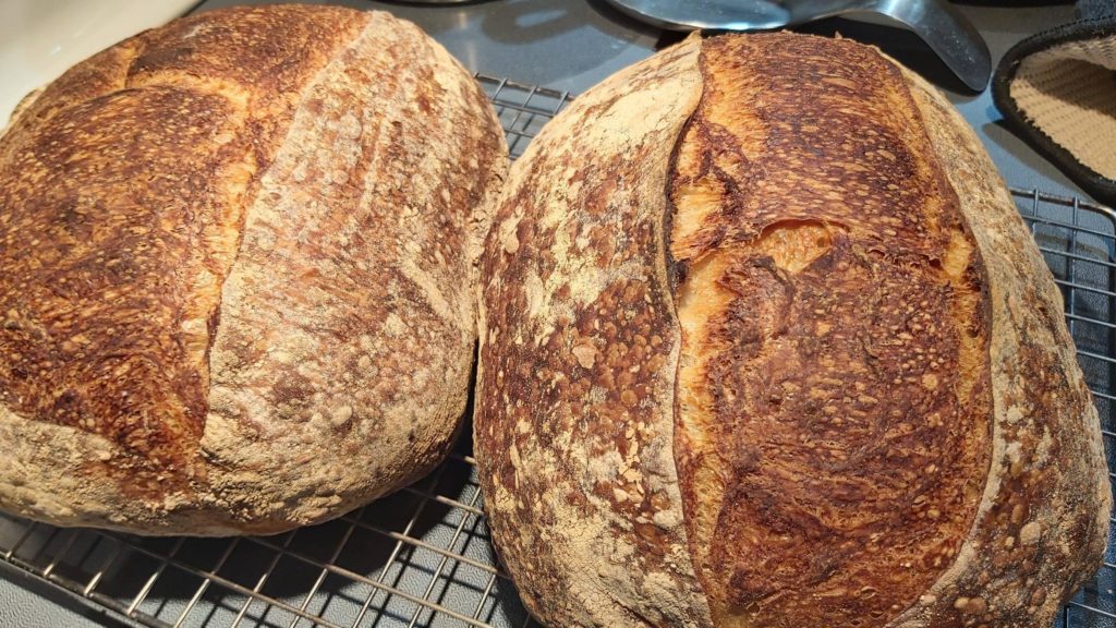 Long time, first time. Started bread baking a few months ago, and really happy with how these ones turned out