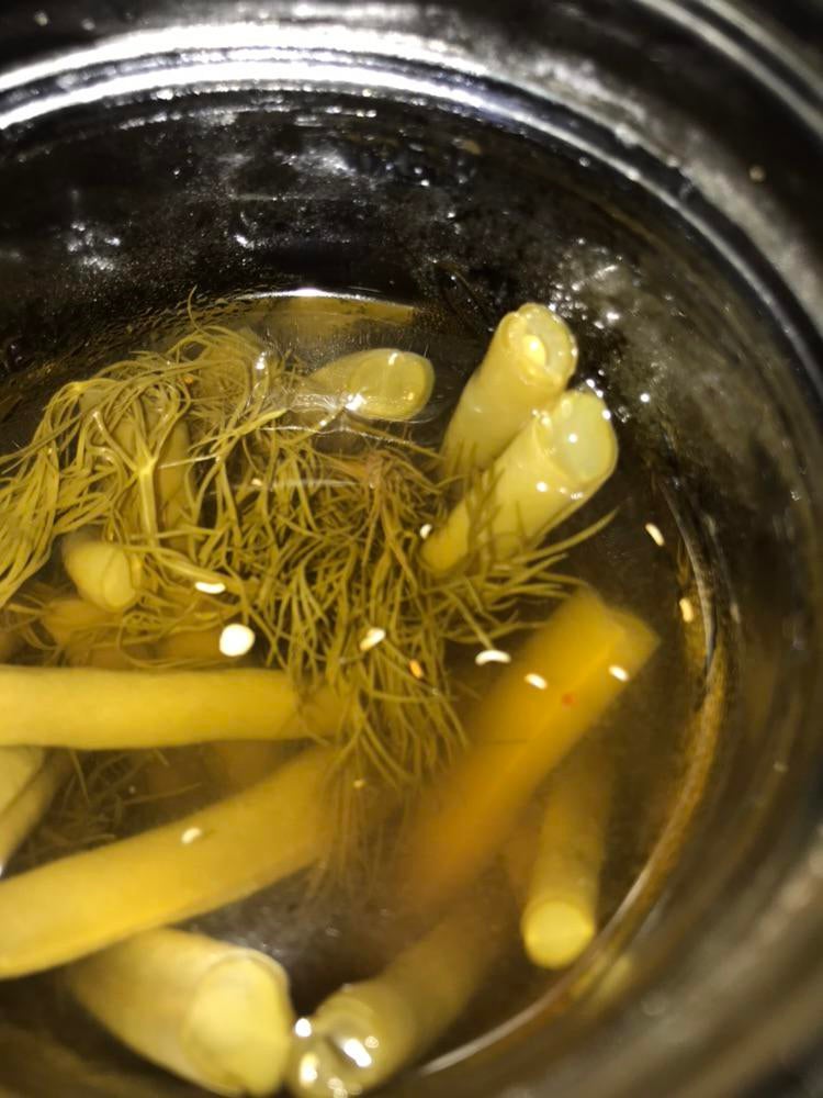 Bugs? Or spice? Dining and Cooking