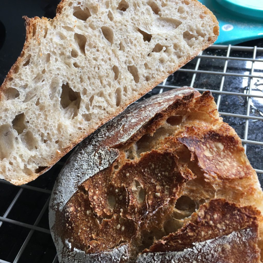 First Combo Cooker Sourdough. Purchase was worth it.