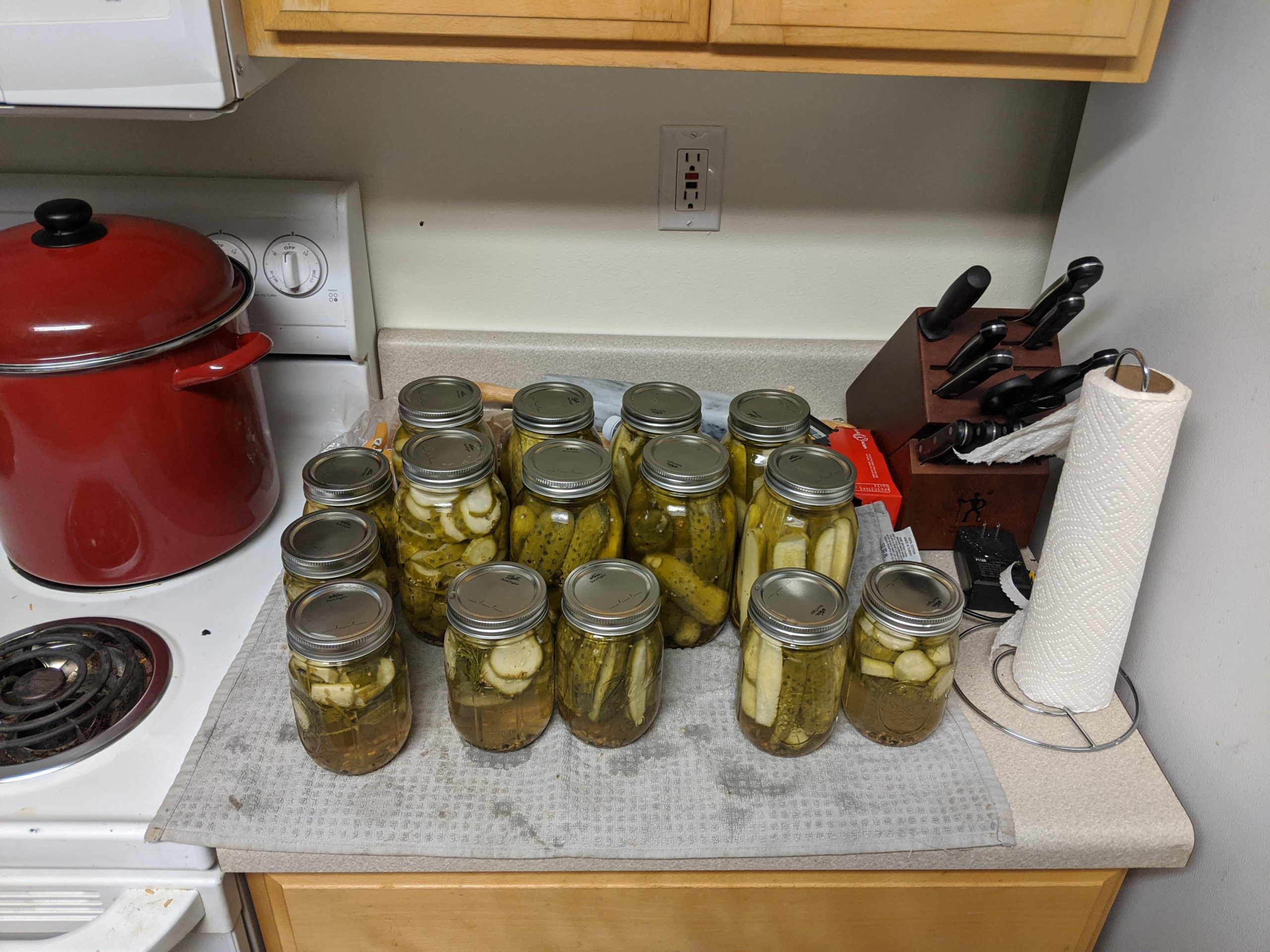 First time canning! Still no idea how they'll come out, but they look