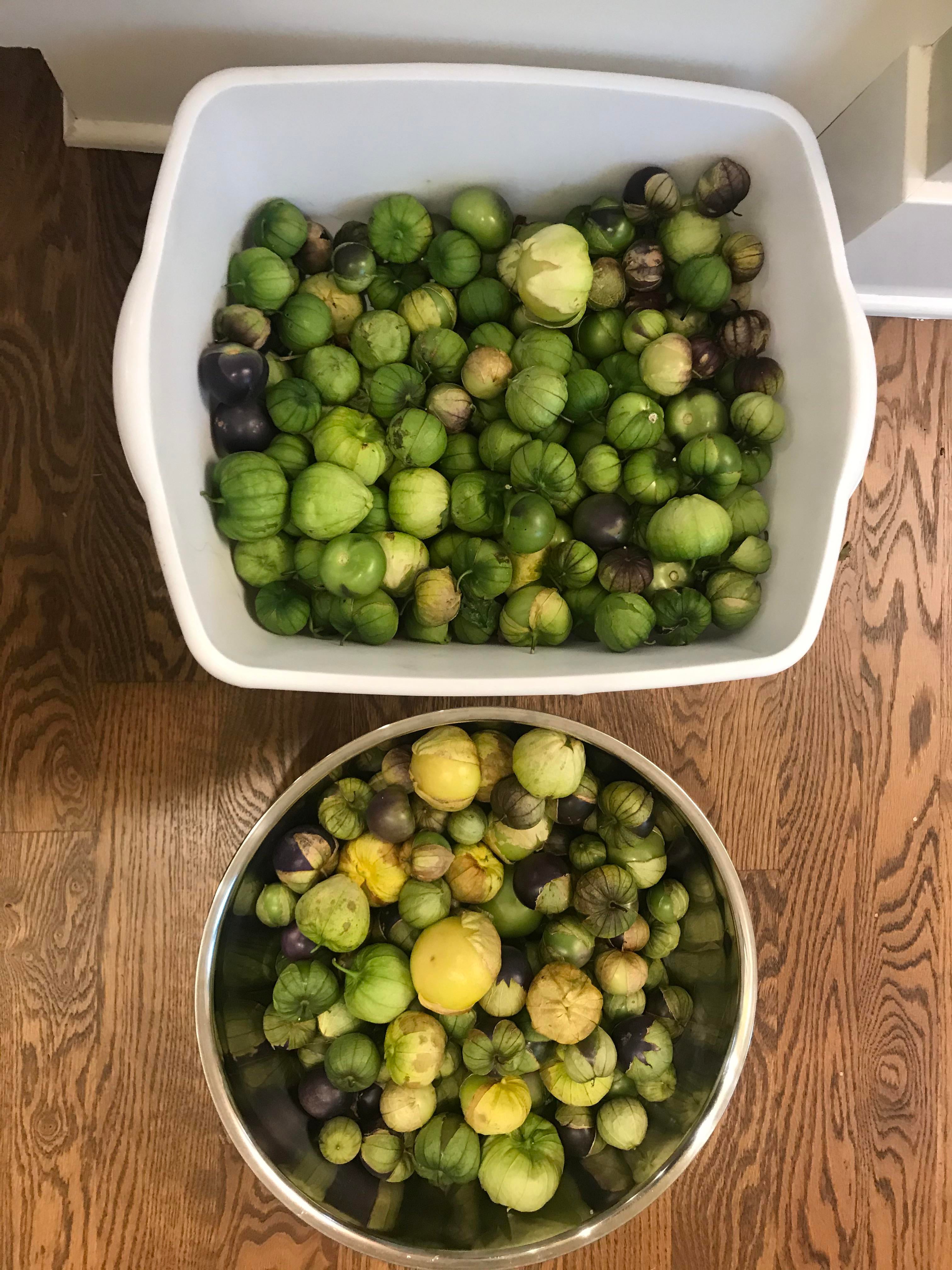Any canning ideas for tomatillos besides salsa verde? Dining and Cooking