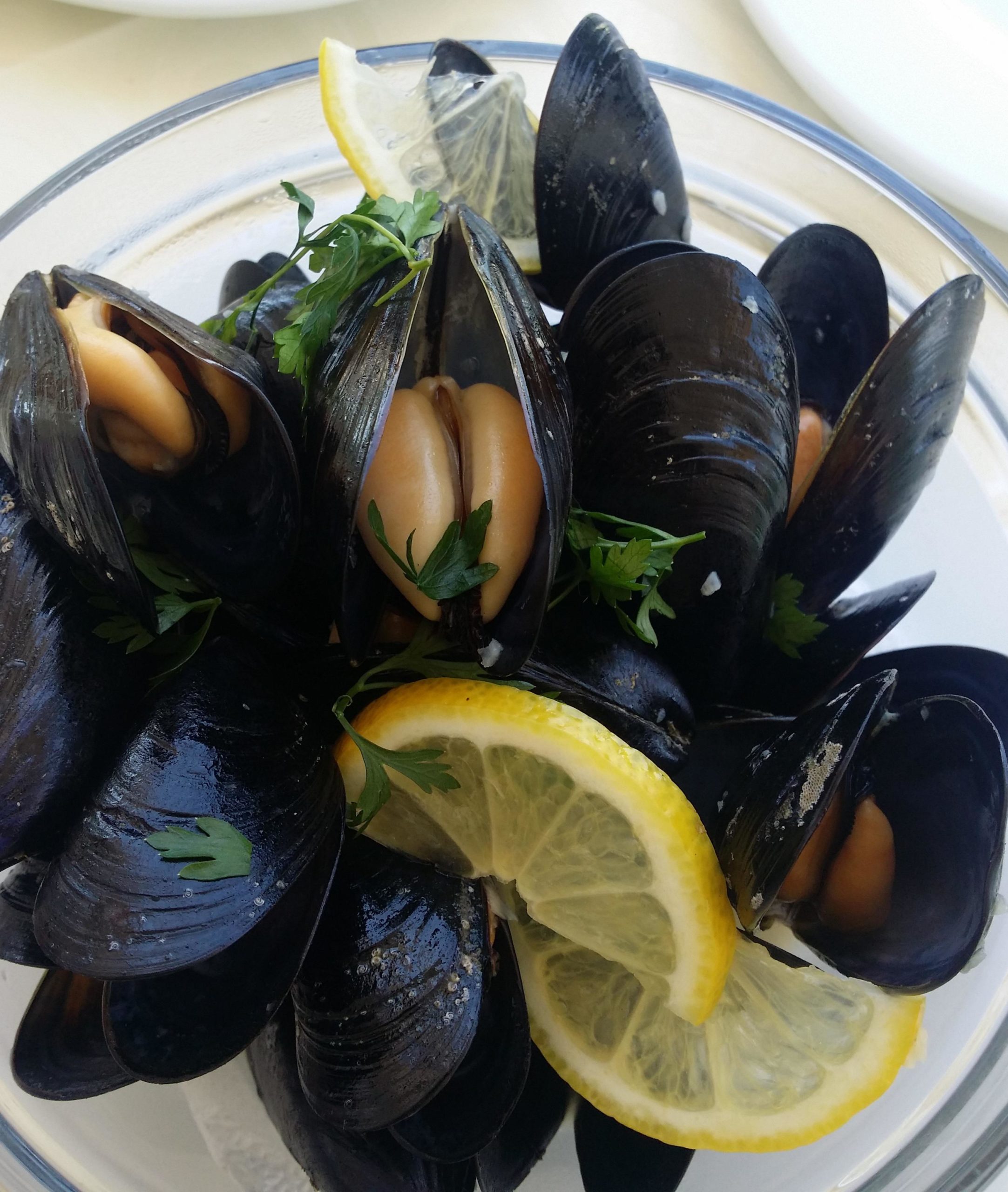 Sauteed Fresh Seasonal Mussels with Garlic, Parsley and Lemon Juice in