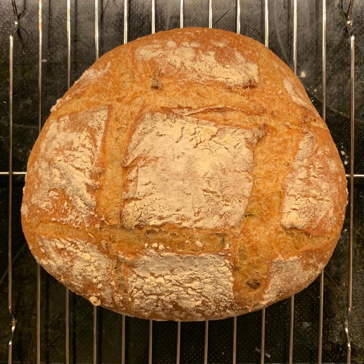 Friday night loaf Rosemary bread with 20 whole grain flour Dining