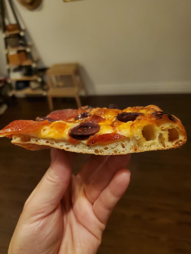 Beautiful bubbles in my 2-day cold fermented pizza crust.