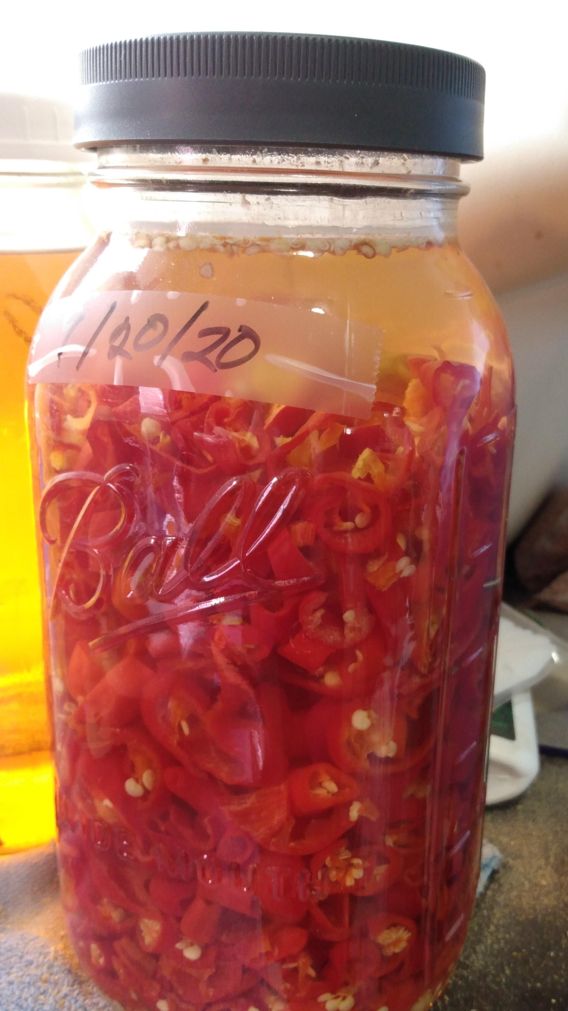 My latest batch is fermenting away, it's a mix of cayenne peppers and