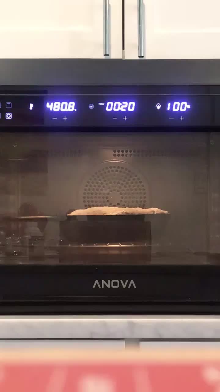 ANOVA precision oven Dining and Cooking