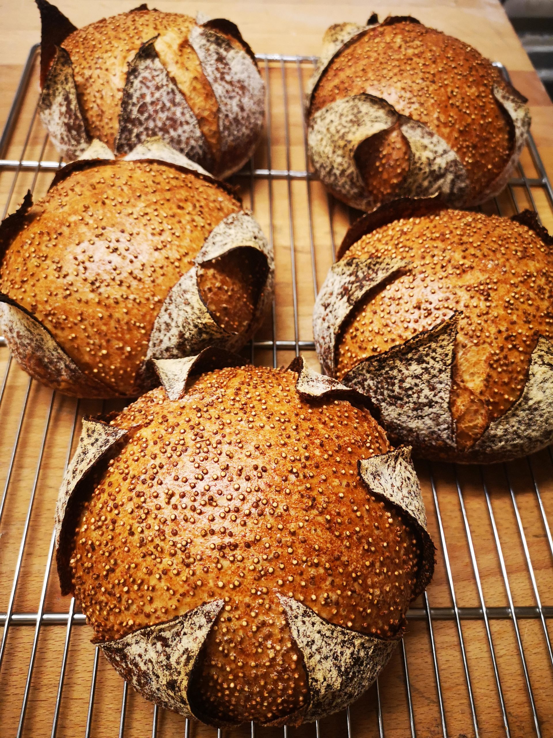 Sourdough bread with roasted quinoa seeds Dining and Cooking
