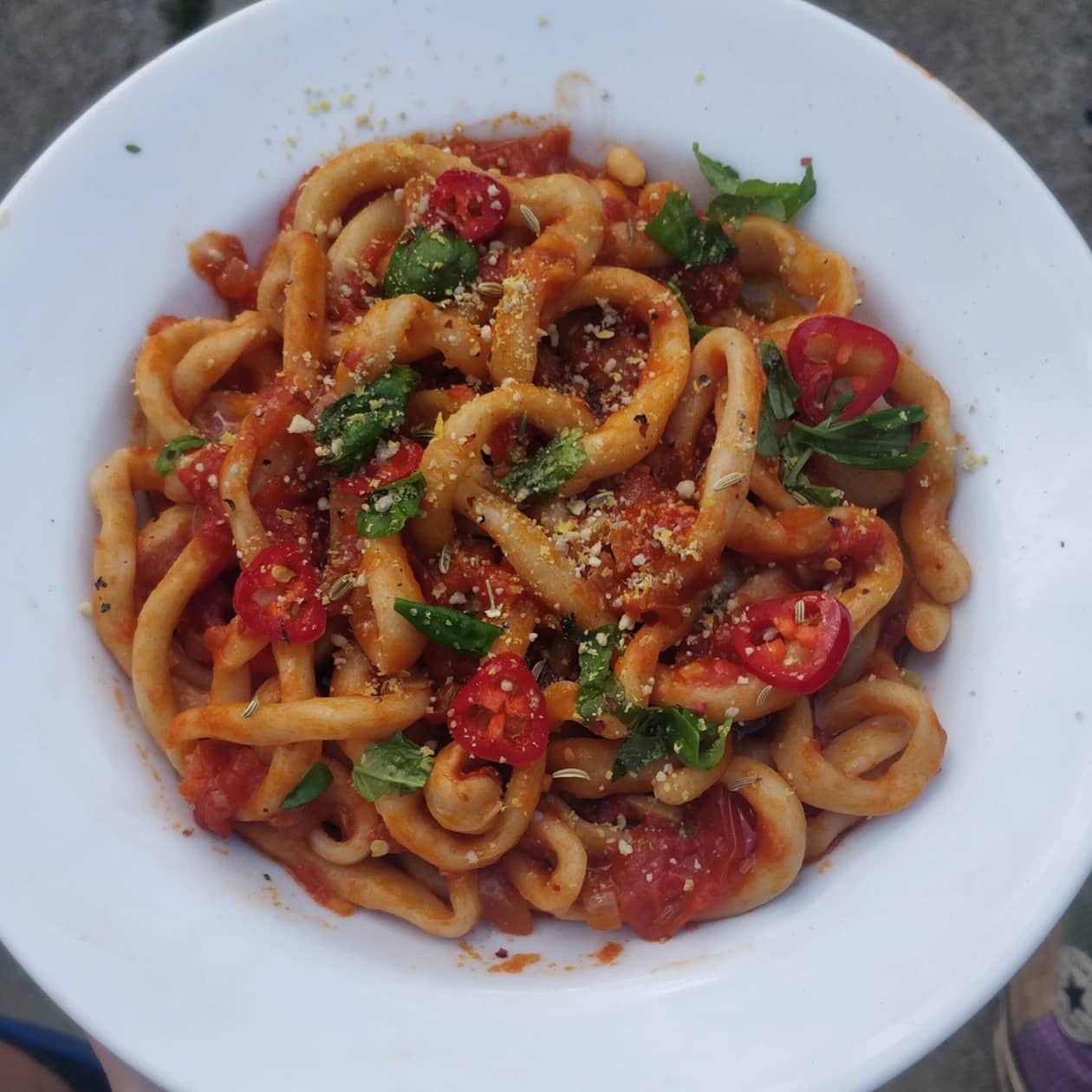 Homemade Pici pasta with a fennel, chilli and caper tomato sauce