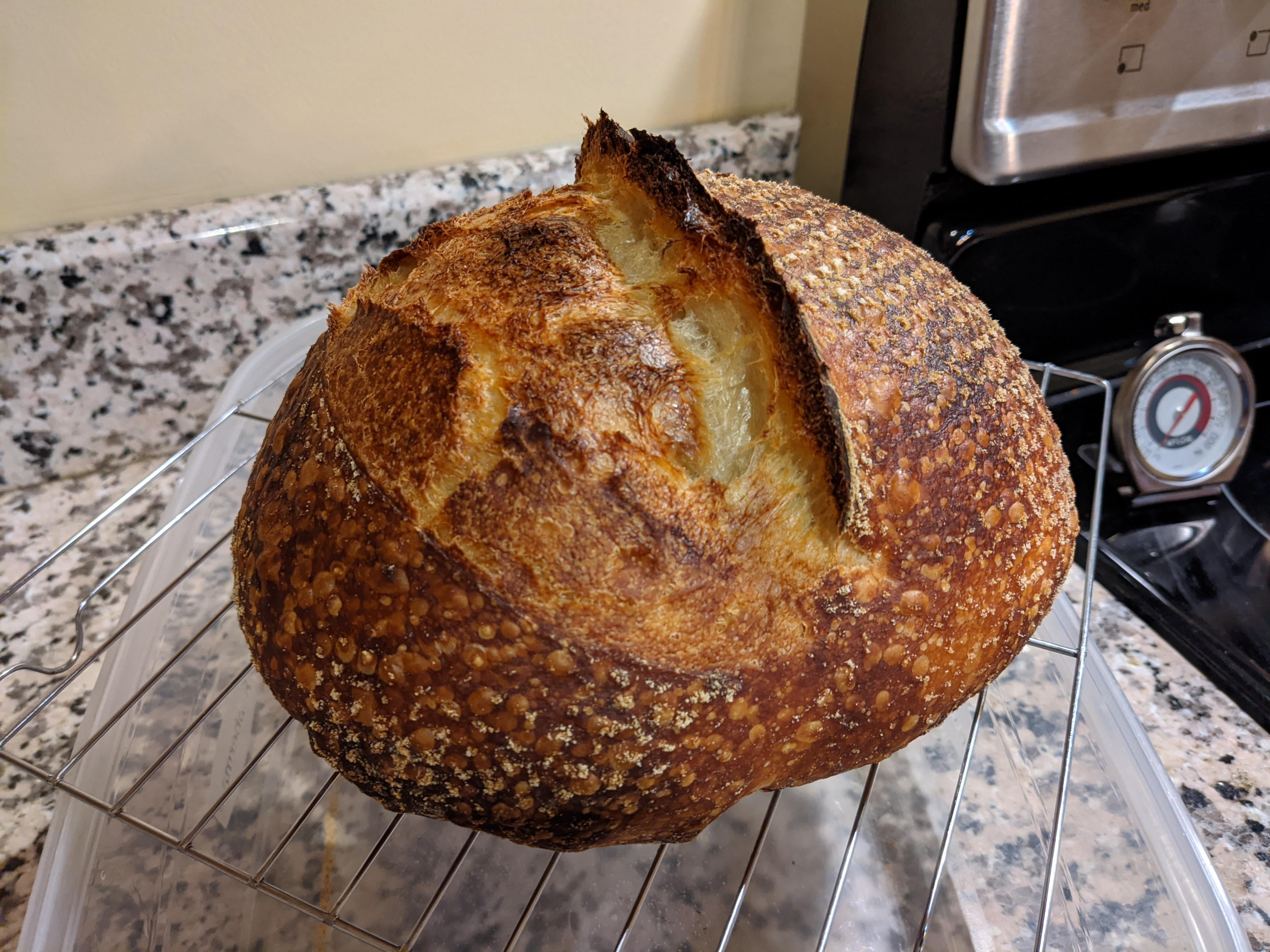 This Sourdough Brought to you by Flour, Water, Salt, and [Wild] Yeast