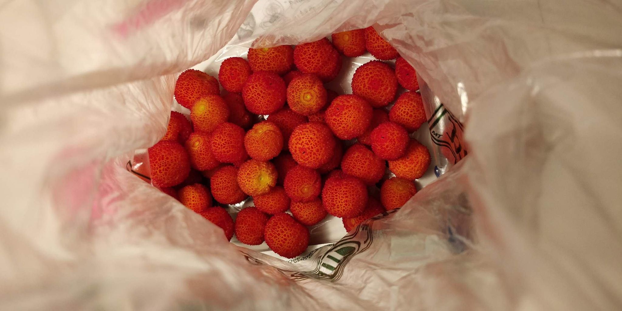 Strawberry tree fruit jam