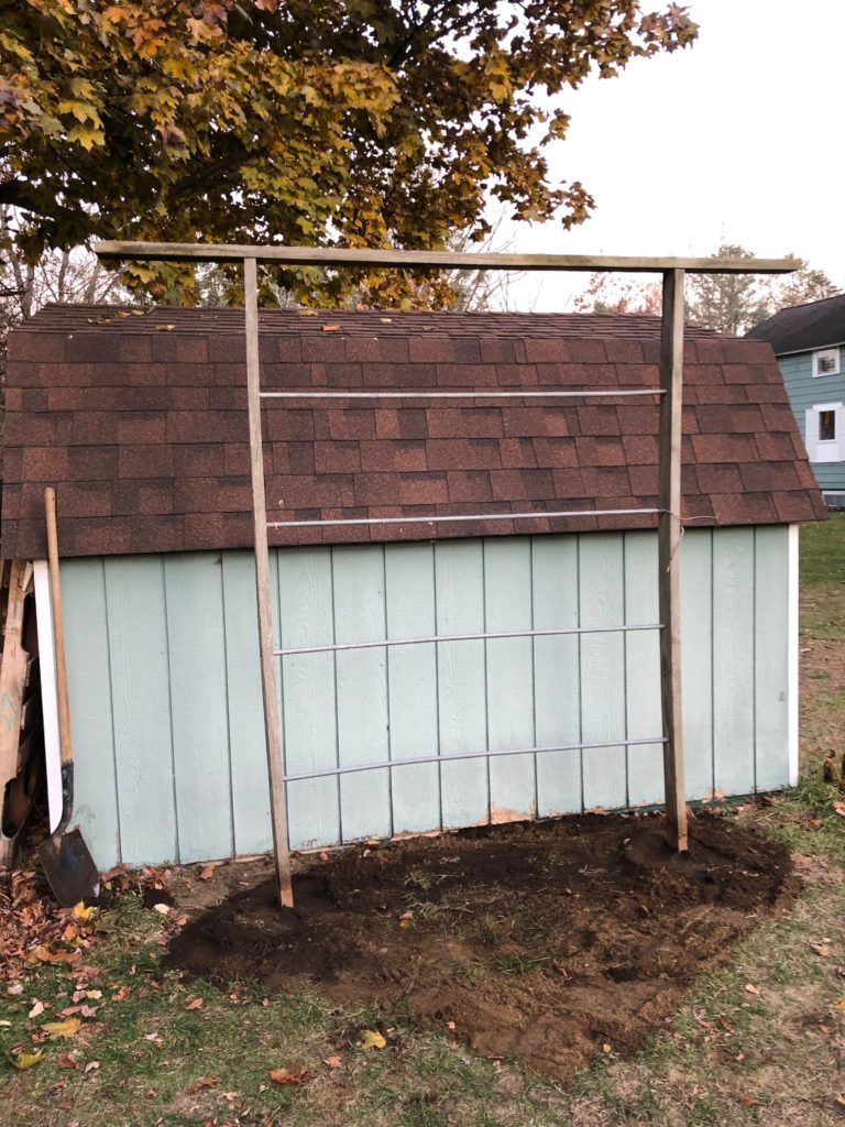 Setup my sweet potato trellis for spring! It’s heavier than it looks.