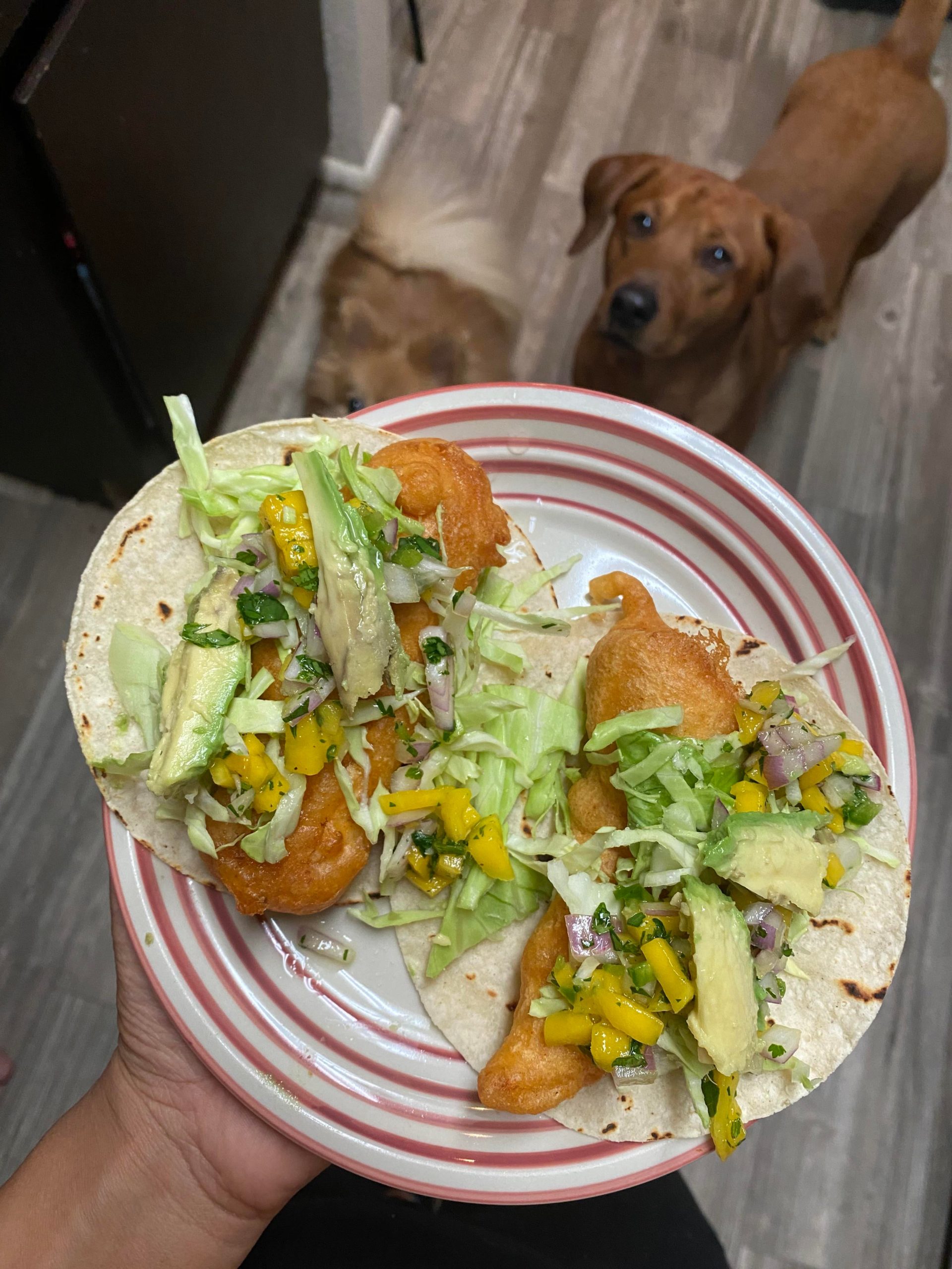 Beer battered fish (halibut) tacos with mango salsa Dining and Cooking
