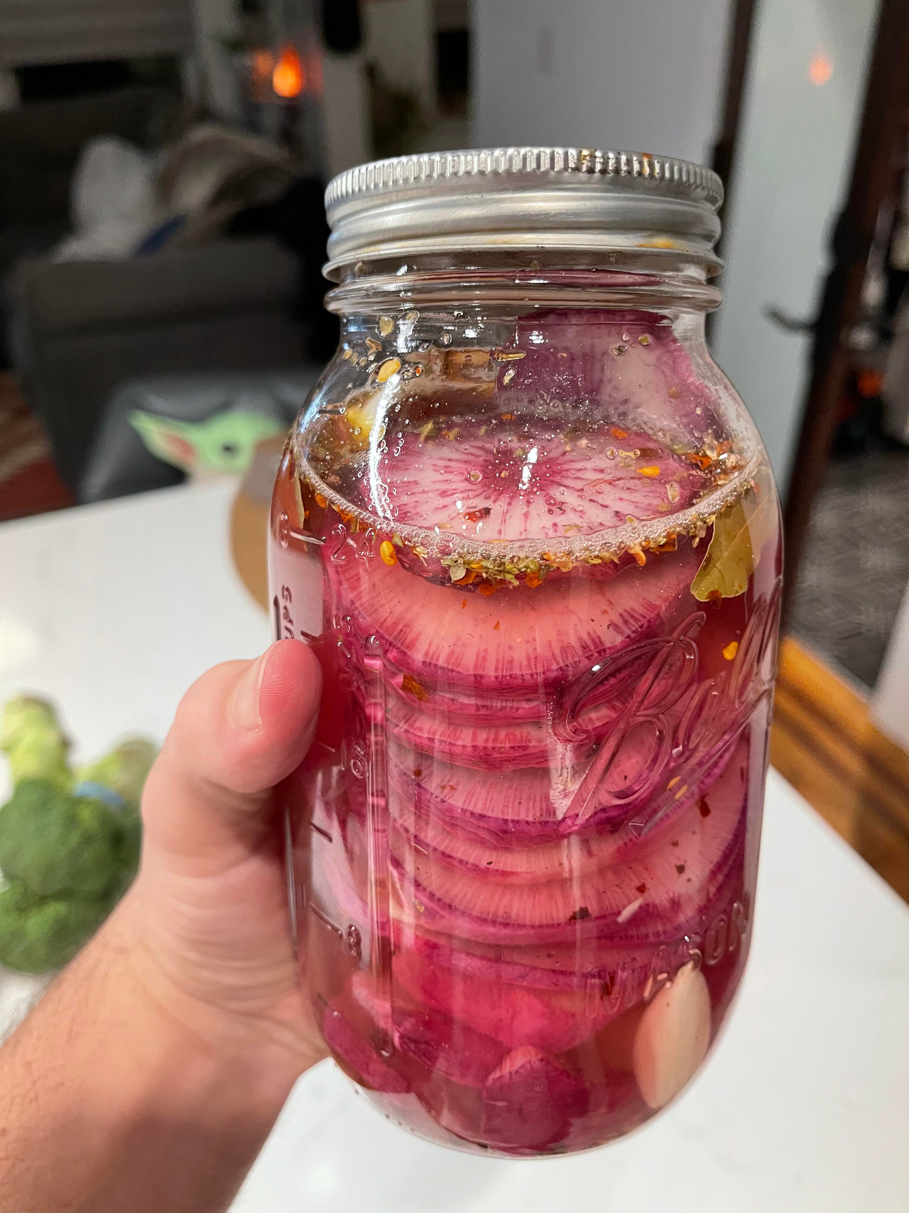 Quick pickle purple daikon radish. Dining and Cooking