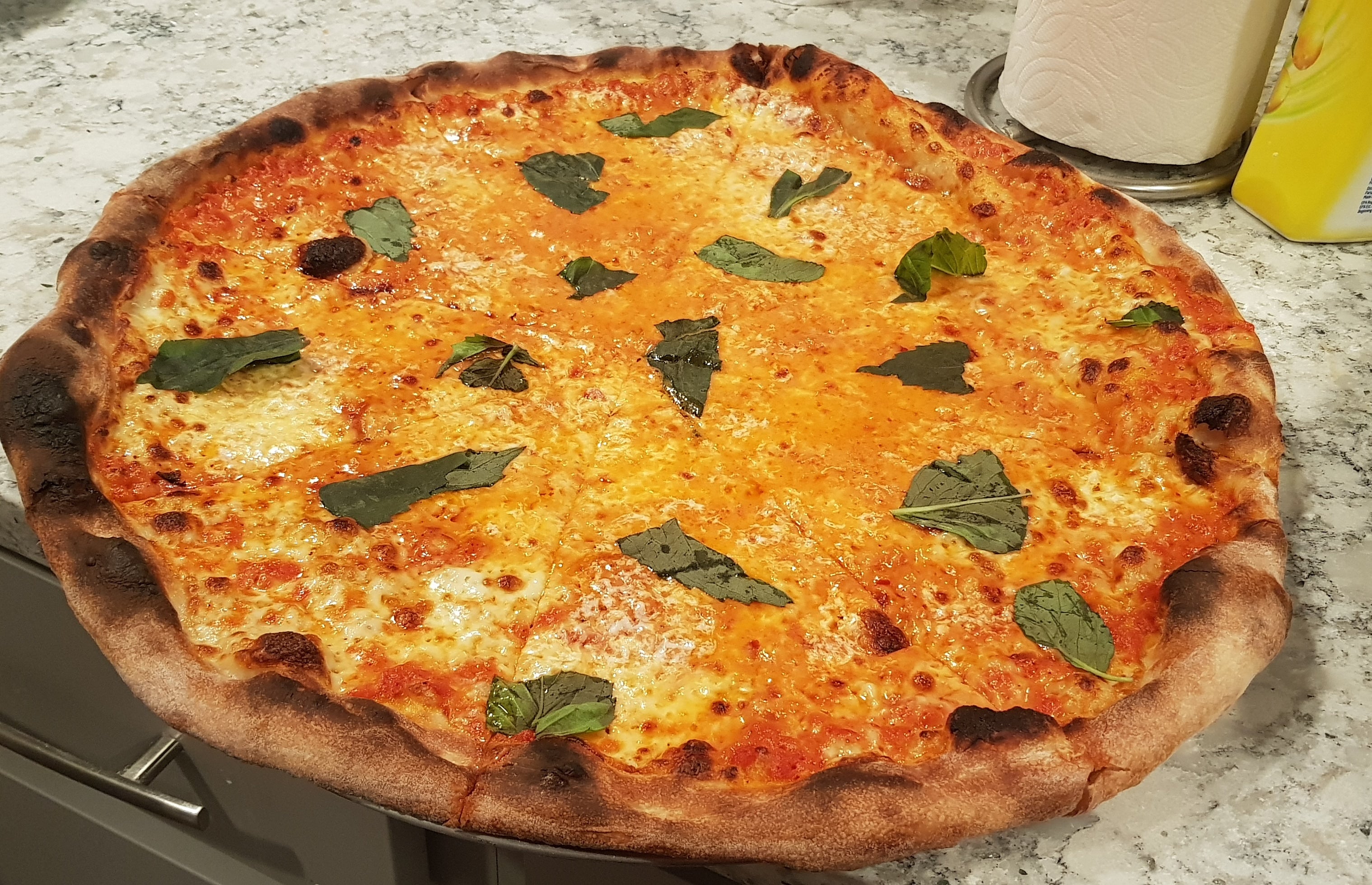 Homemade pizza with Vodka sauce. Too much broiler action. Dining and