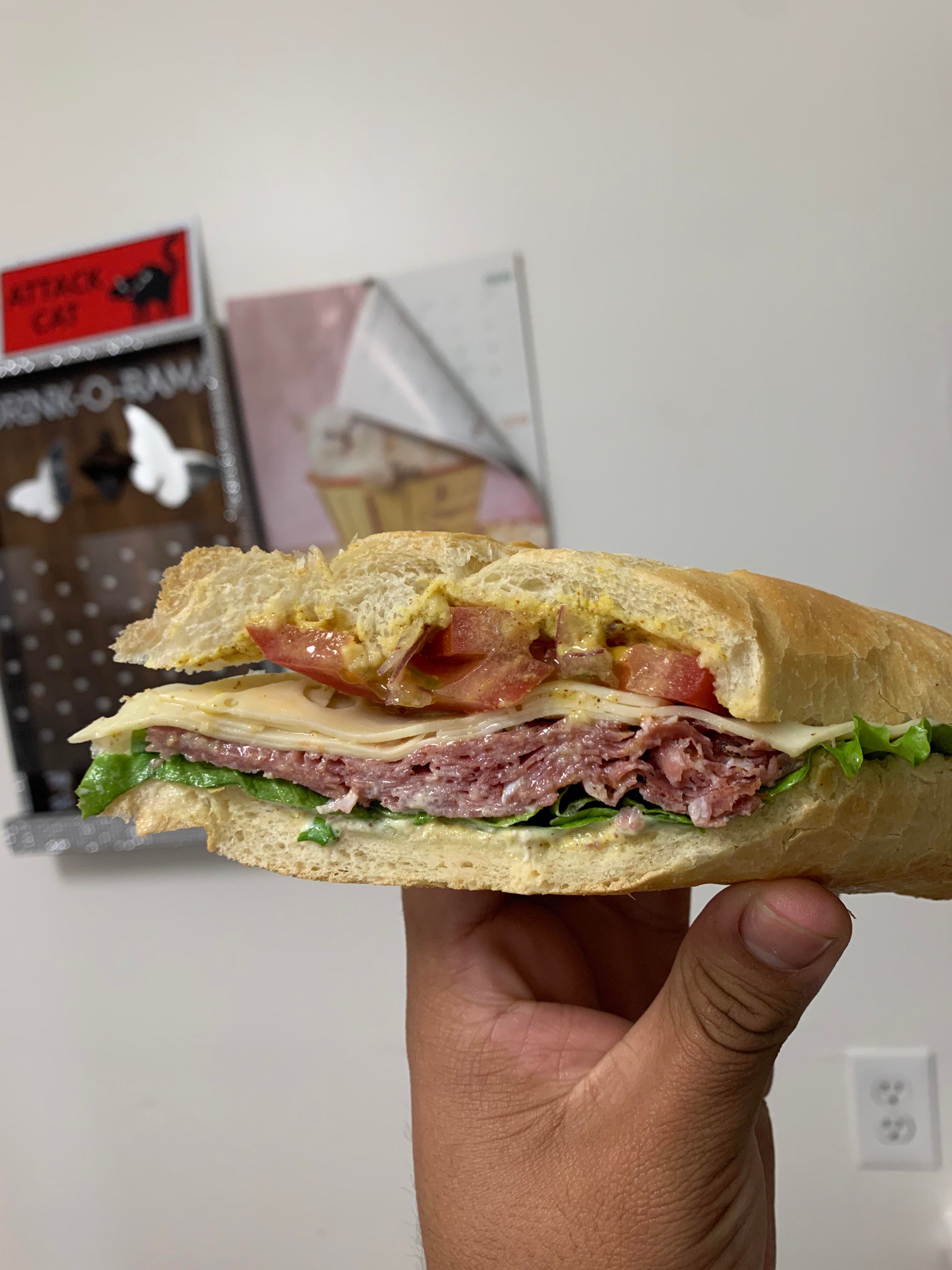 Salami sandwich with spicy mustard, tomato, lettuce, and Mayo. 10/10 ...