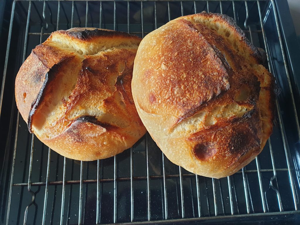 Blistered crust is way better