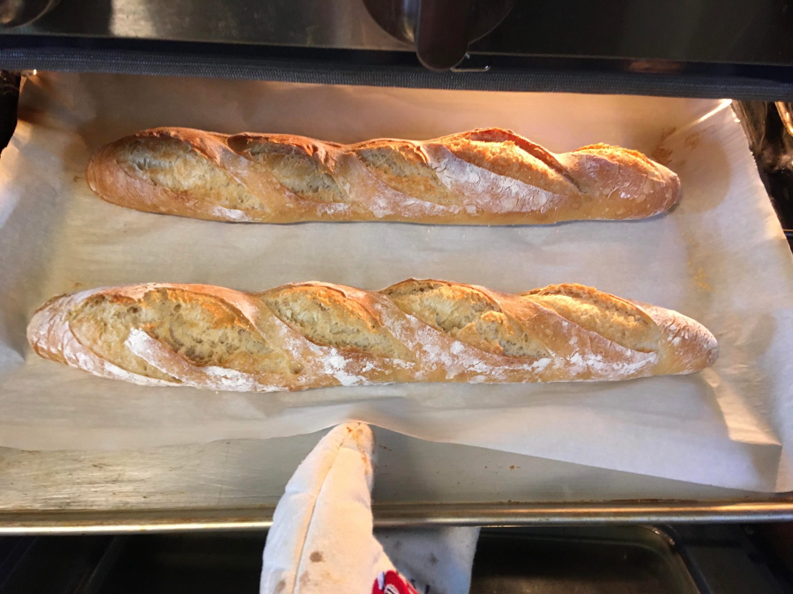 Some “French Tradition” bread straight out the oven Dining and Cooking