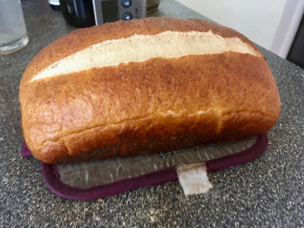 First attempt at pretzel sandwich bread