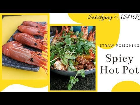 辛い鍋 Spicy Hot Pot Dining And Cooking