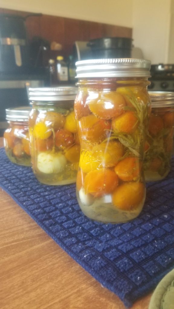 Small batch canning. Trying out cherry tomatoes with salt and citric acid instead of vinegar.