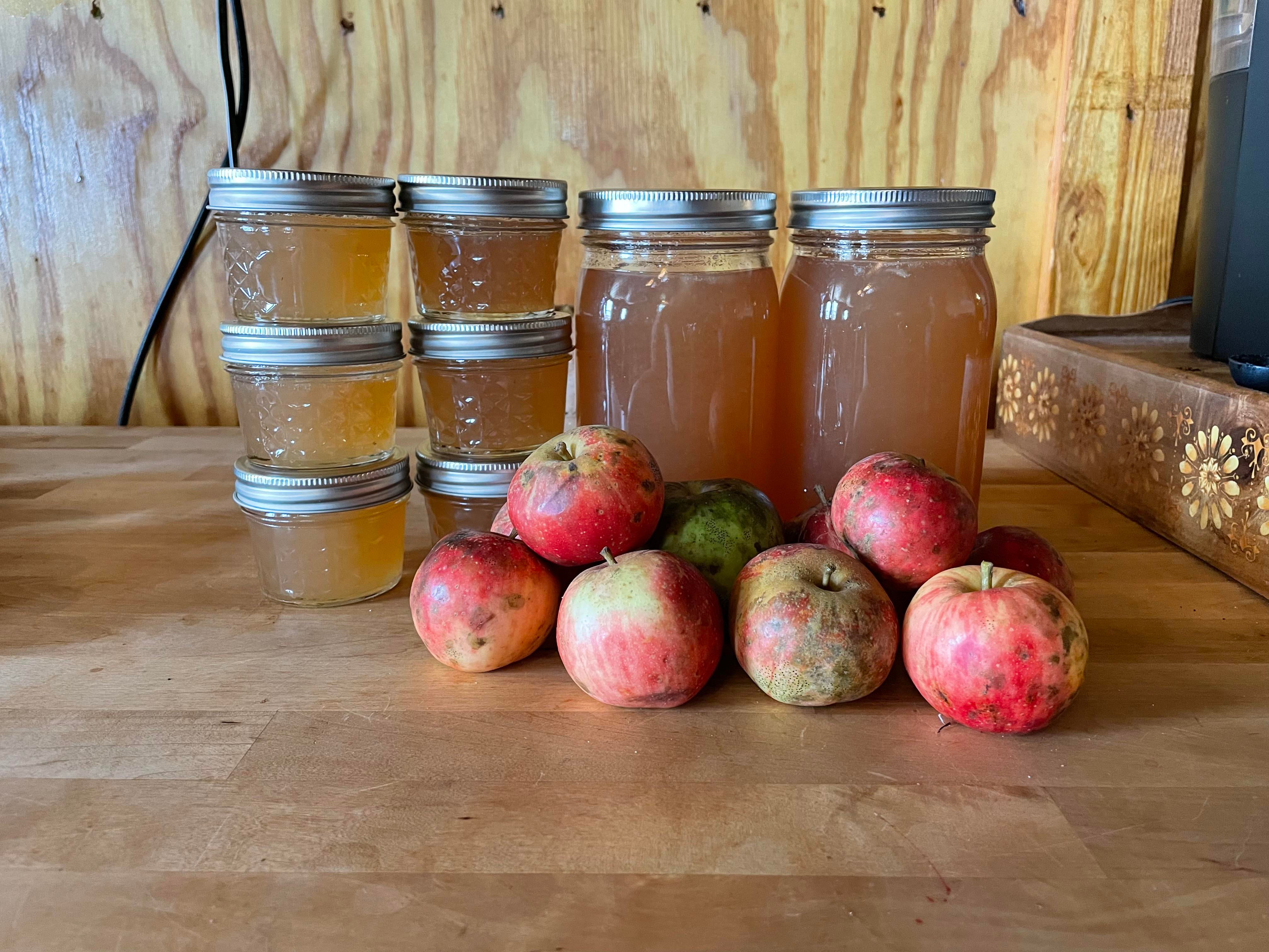 Apple Jelly! First time making this and greatly underestimated the