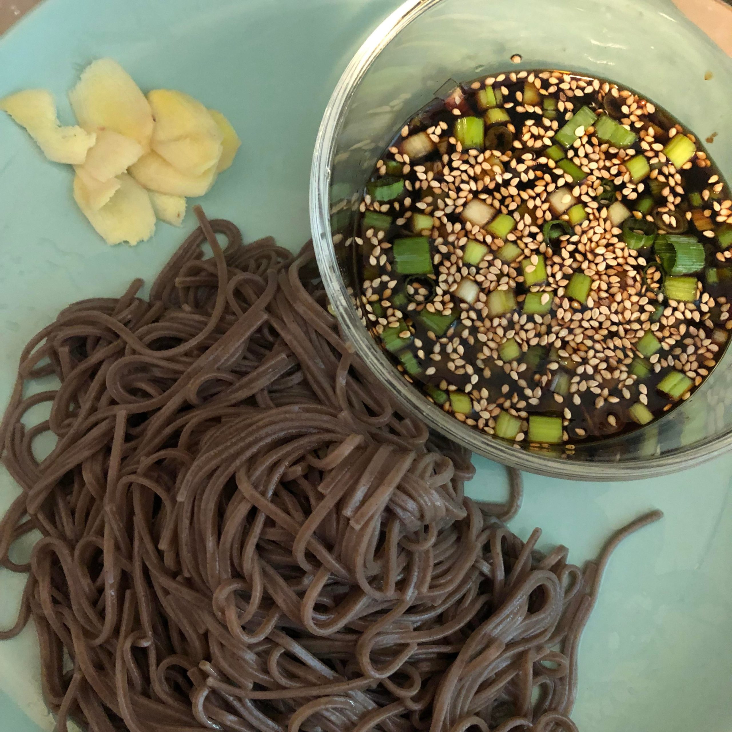 Too hot for warm food cold soba noodles and tsuyu sauce for dipping