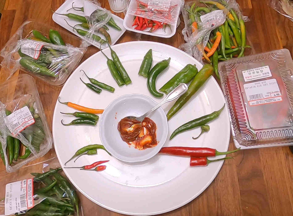 Korean Chili Peppers + Ssamjang = TIL Korean Green Peppers 풋고추 and Cucumber Peppers 오이고추 or 아삭이고추 are suitable really. The rest are better suited for cooking/garnish. Also learned some people like dipping in straight-up Gochujang 🔥