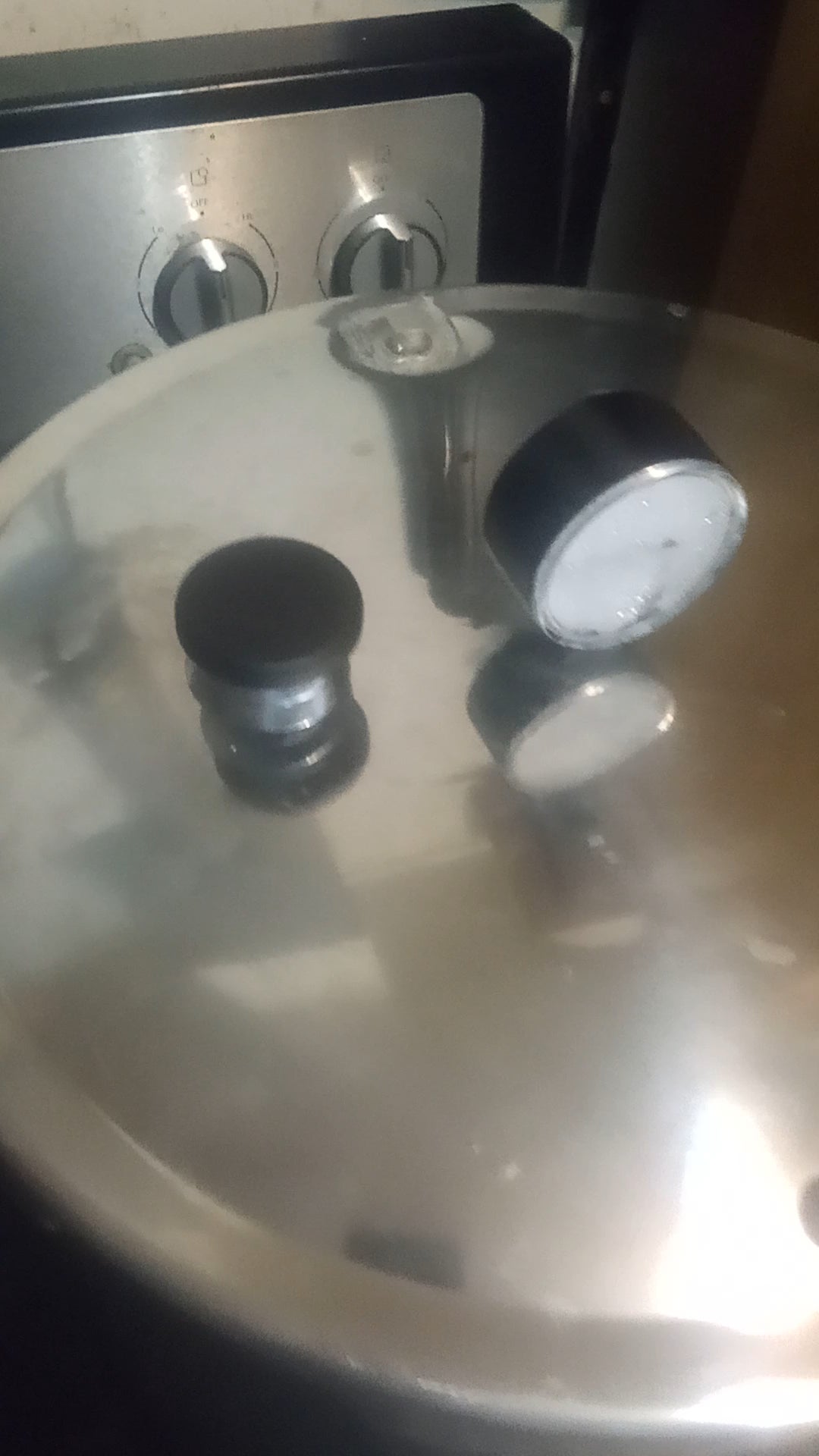 Why is my pressure cooker doing this? The pressure regulator isnt