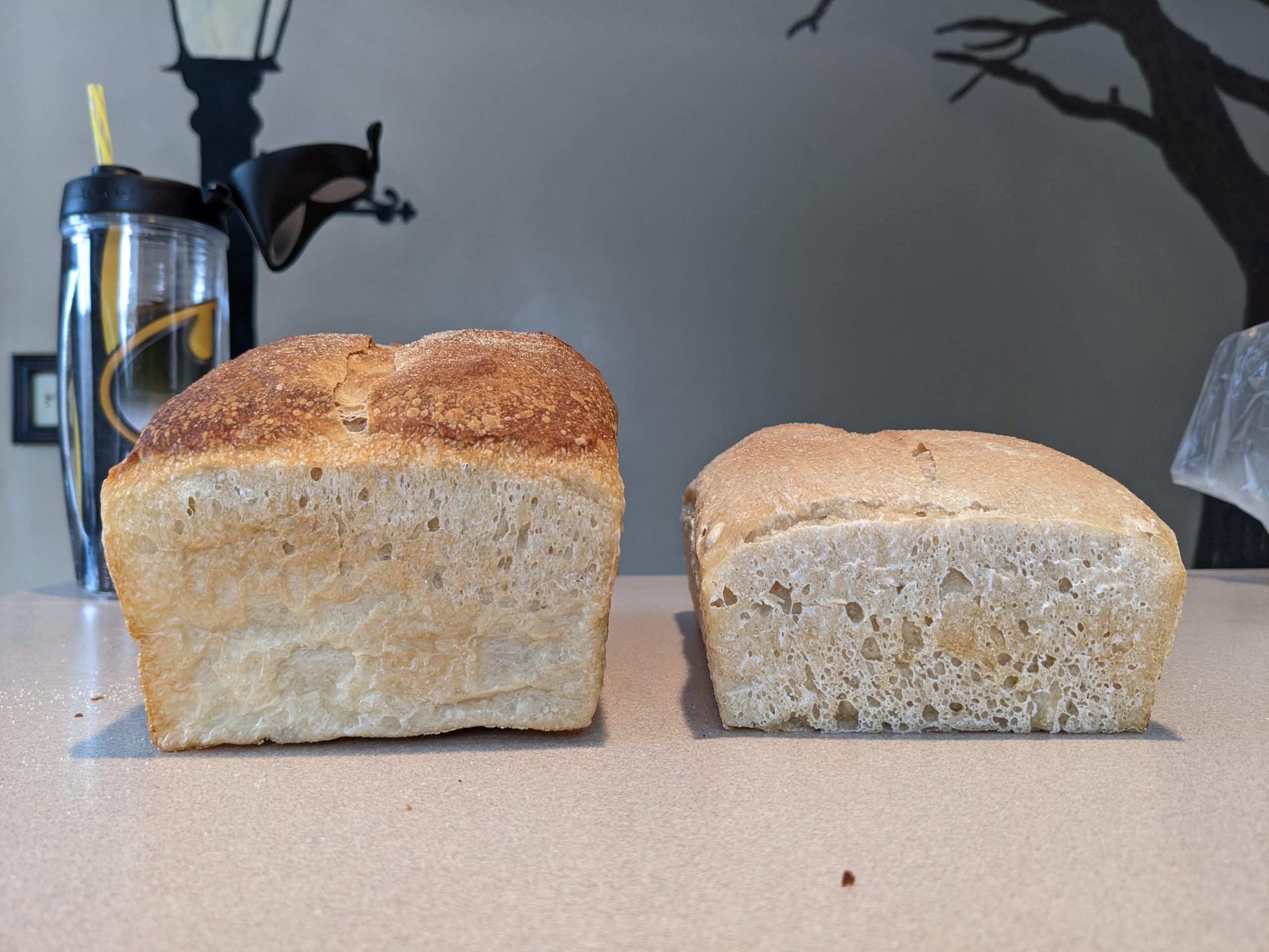 KING ARTHUR BREAD FLOUR VS REGULAR FLOUR intelligence overview