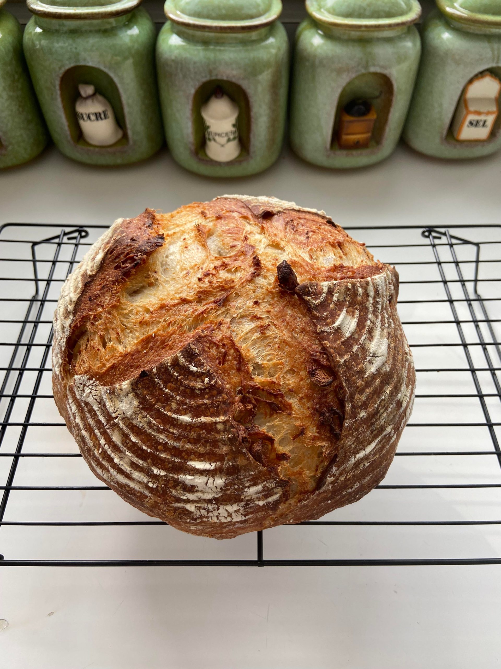 Pancetta, roasted garlic, and asiago sourdough. My house smells like heaven! Dining and Cooking