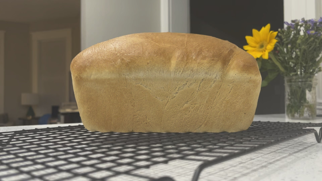 This is both the prettiest and ugliest sandwich bread I’ve ever made