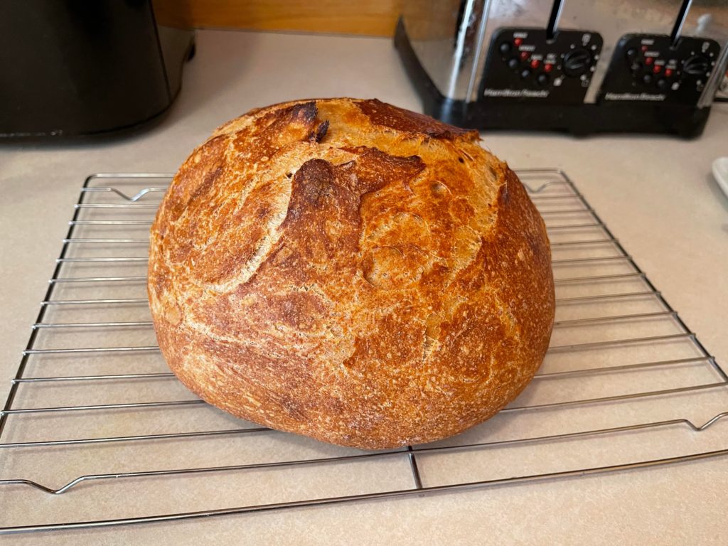 Basic artisan loaf