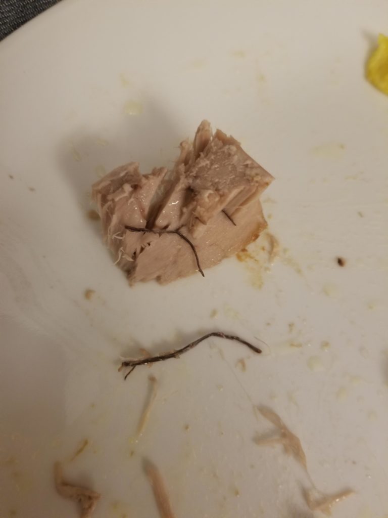 What are these dark red strings in my Tuna steak?