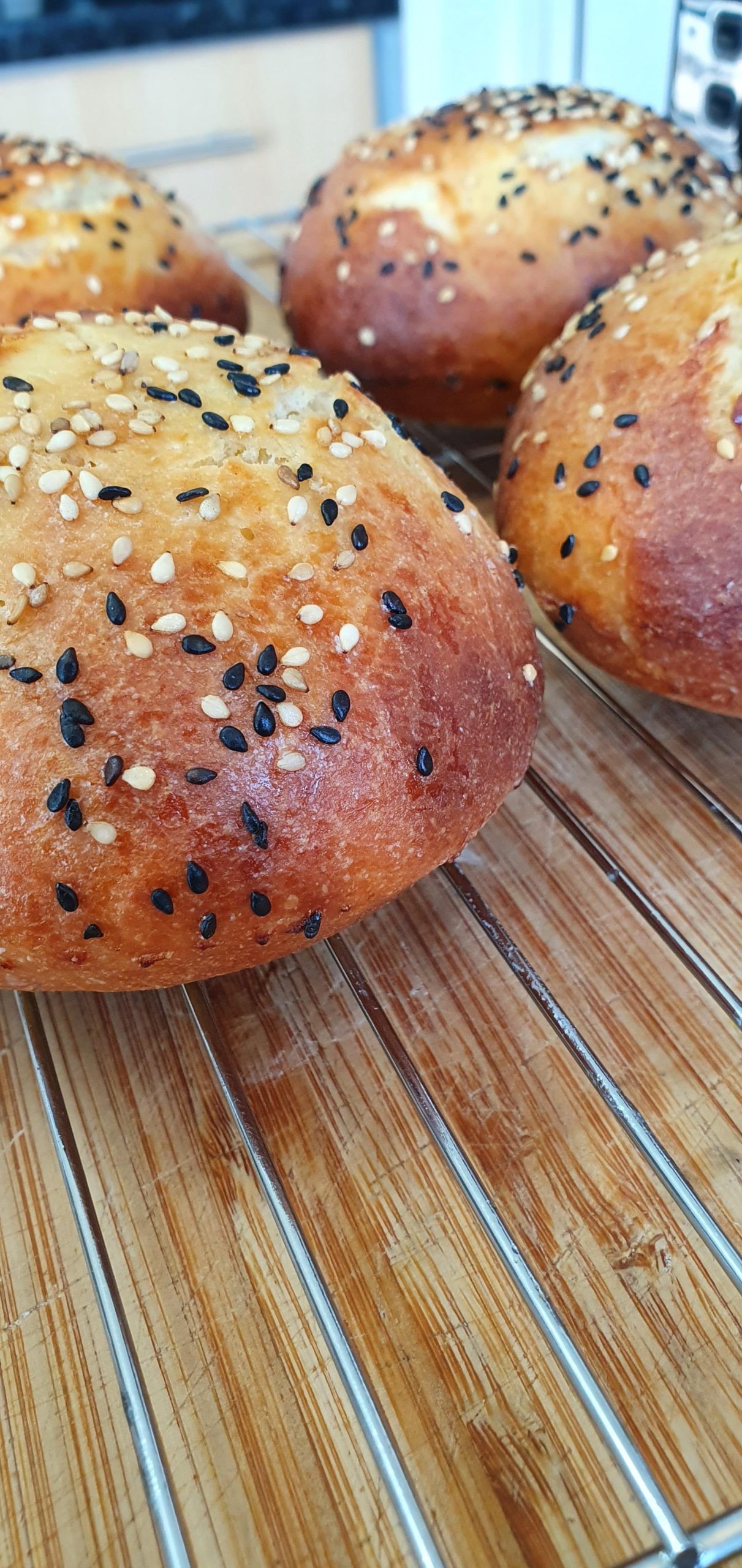 Honey glazed, toasted sesame seeded, milk burger buns. Dining and Cooking