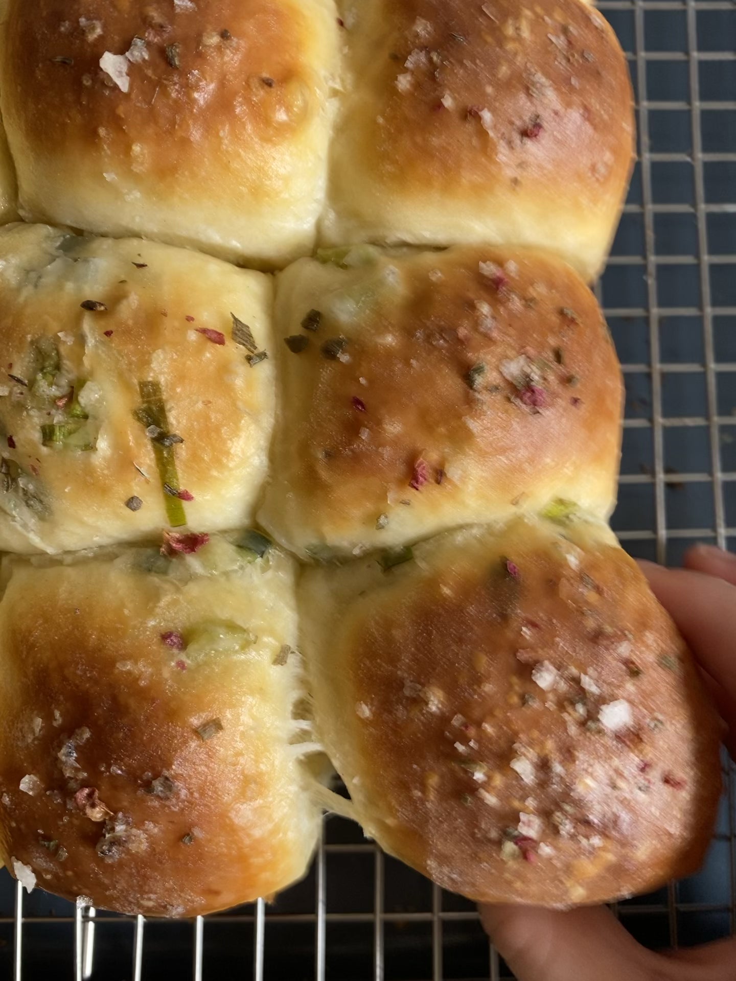 Claire Saffitz’s pullapart sour cream & chive rolls Dining and Cooking