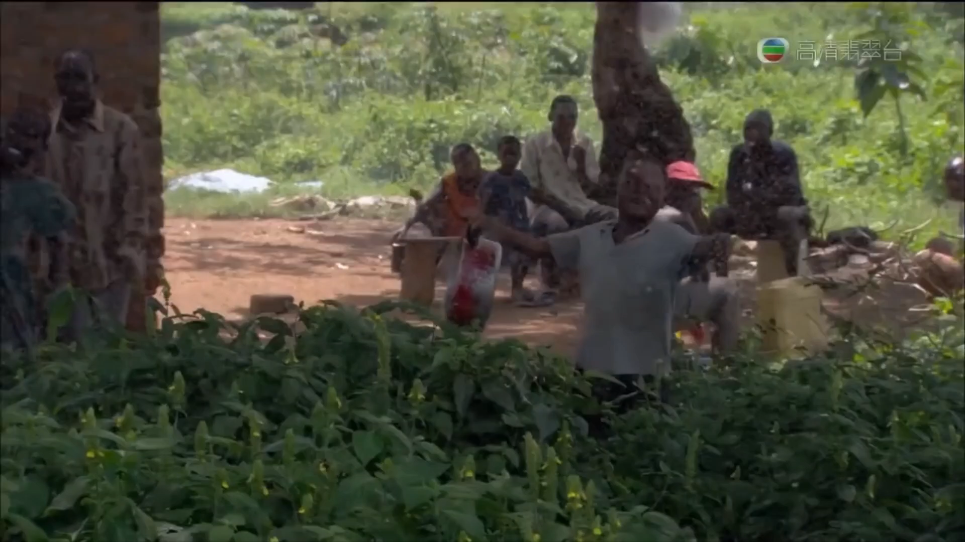 The Mosquito Burger in Africa ! Dining and Cooking