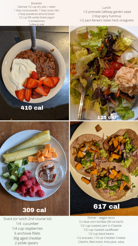 1460 Full Day Food Journal