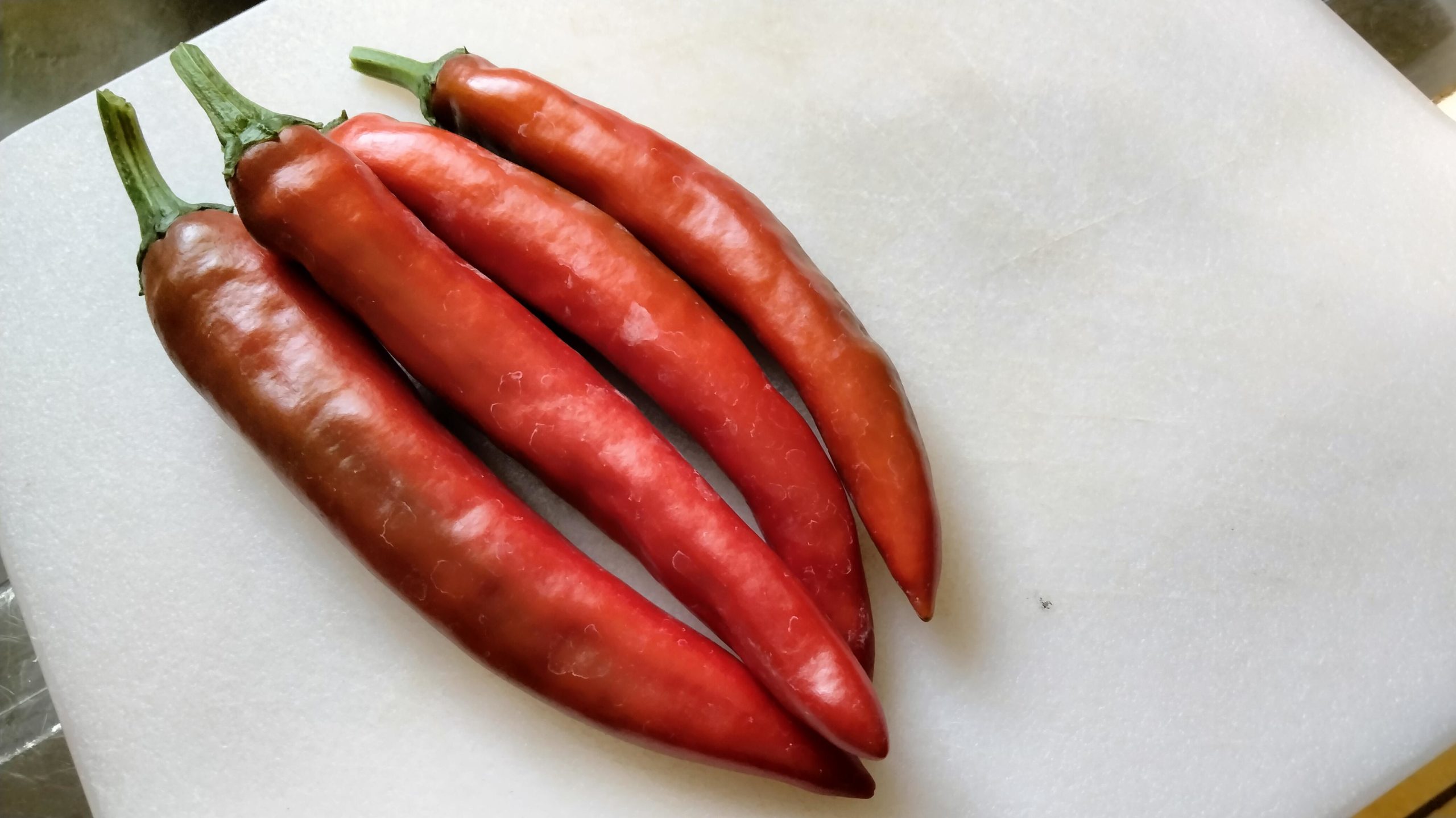 First pepper harvest! Gochujang King peppers. Dining and Cooking