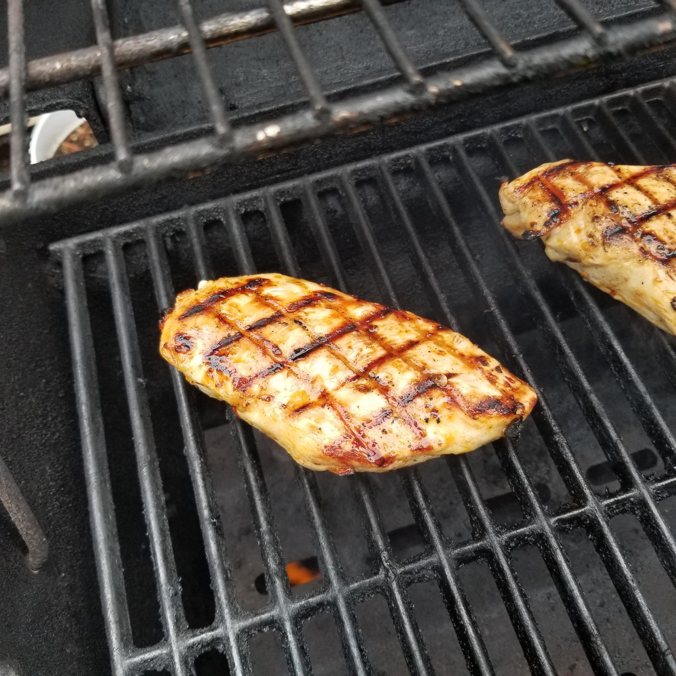 Grill marks almost look fake. Dining and Cooking