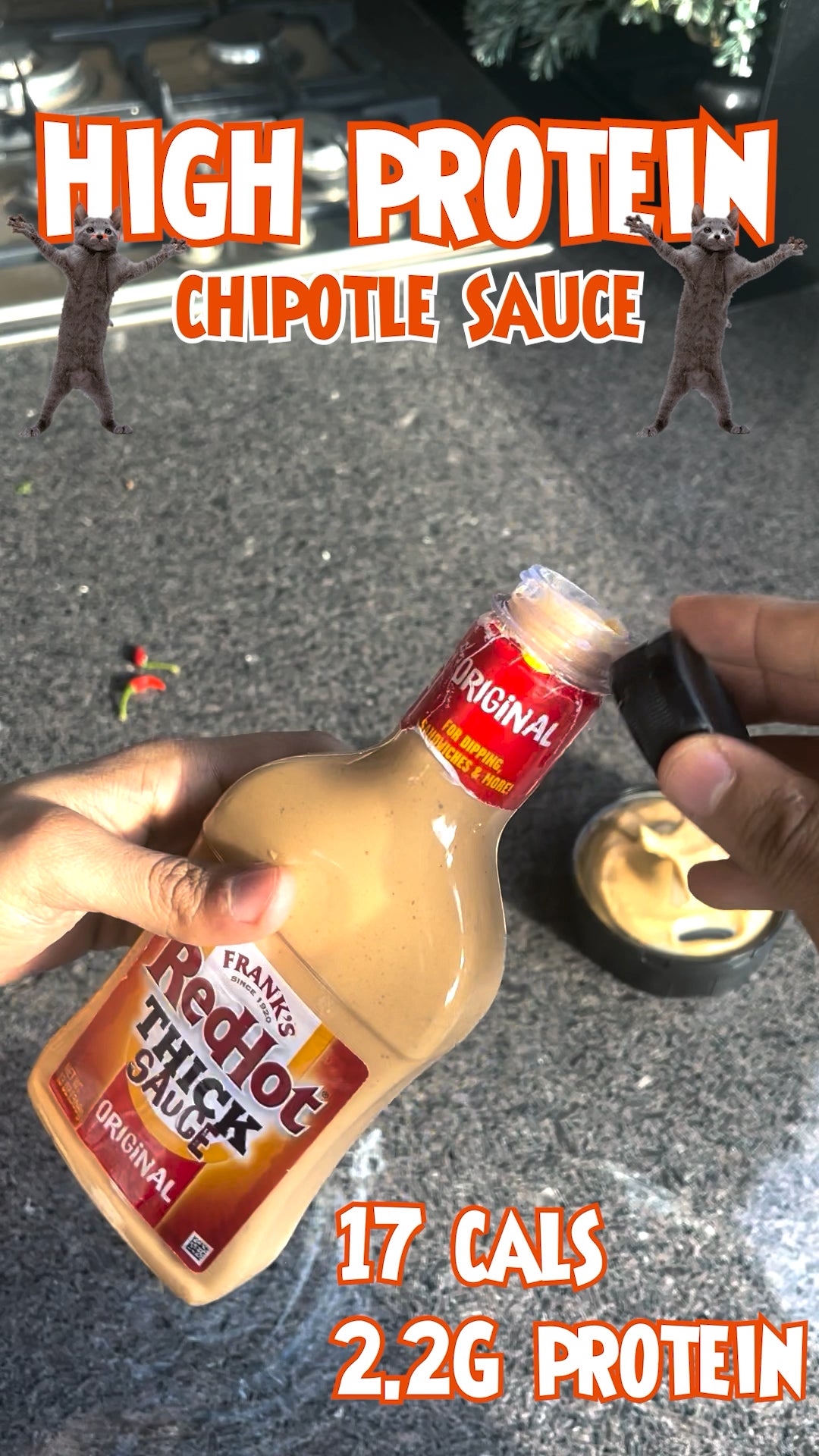 17 cal Creamy Chipotle Sauce Dining and Cooking