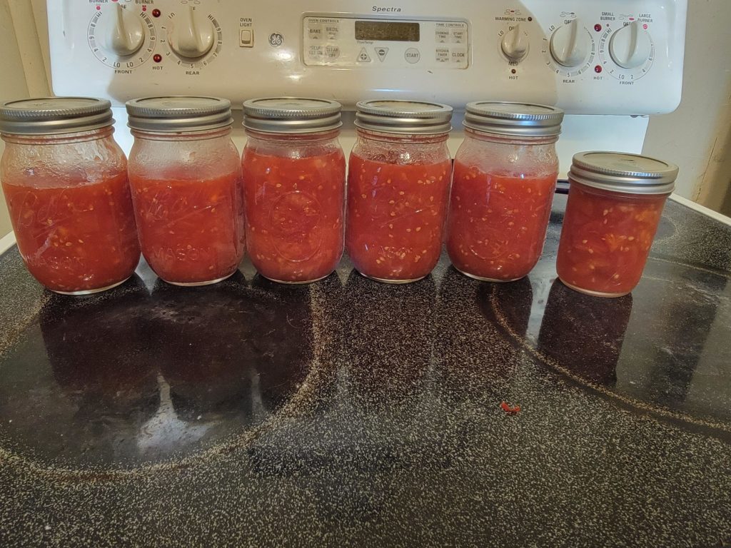 My first time canning anything, does this look right?