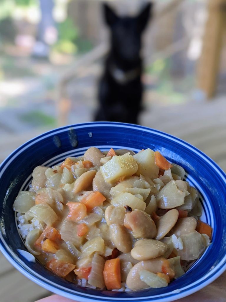 Creamy Thai Green Curry (not delicious-looking, but delicious-tasting!)