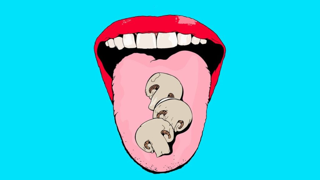 Mushroom Meat Is Cheap and Yummy — Why Don’t We Eat It More?