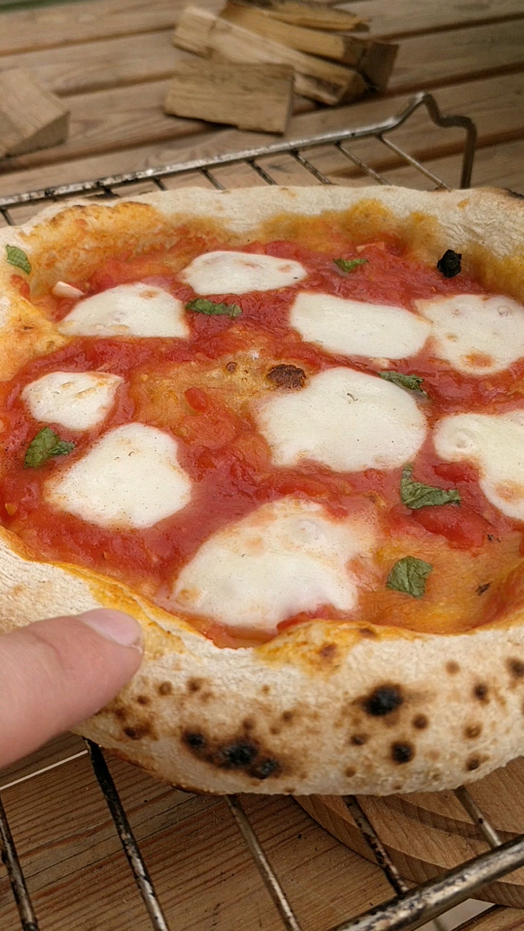 Pizza Margherita w/ wood fired OONI Karu 12 Dining and Cooking