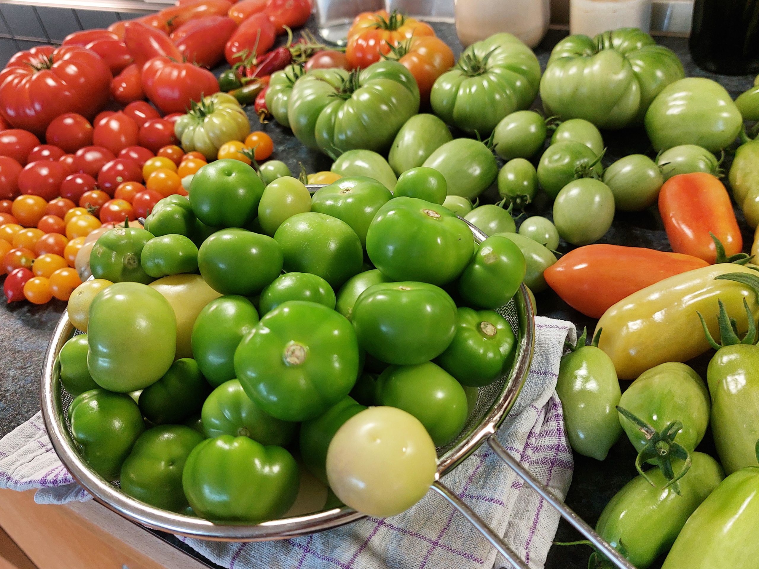 Are unripe tomatillos safe to eat? I've found a lot of ideas what to do